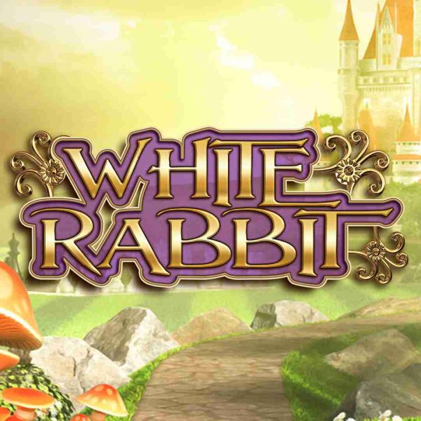 white-rabbit