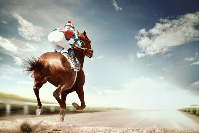 Racehorse crossing the finish line