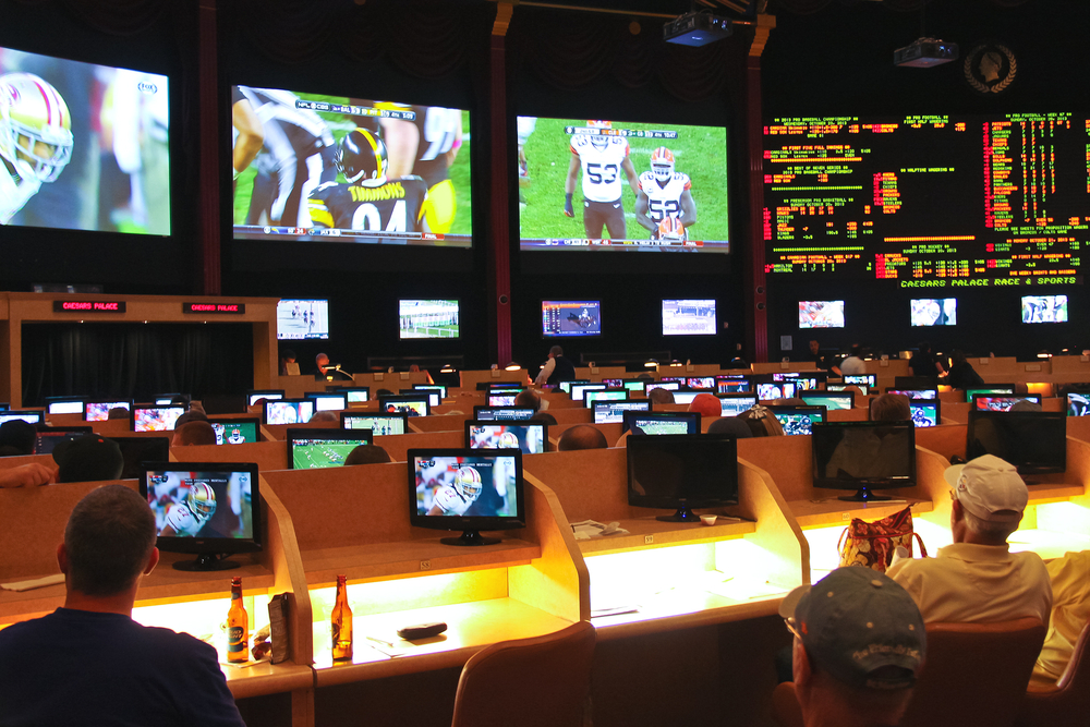 sports betting hall setup